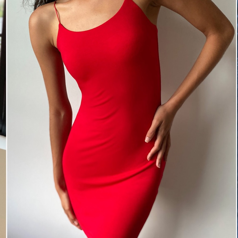 Aritzia “tiny” dress
